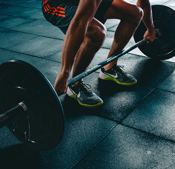 gymvmt-training