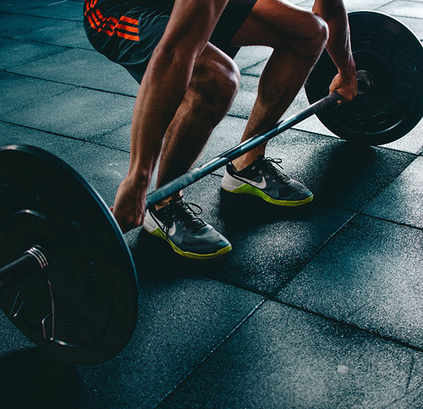 gymvmt-training